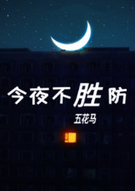 今夜不胜防（伪）